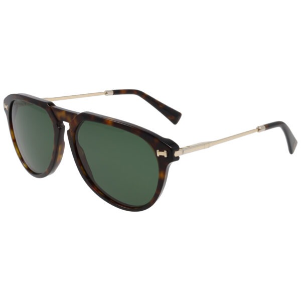 CHAMONIX S